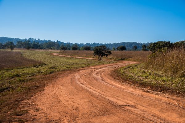 Dirt Driveway Repair in Lodi