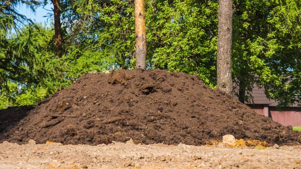 Dirt Installation in Lodi