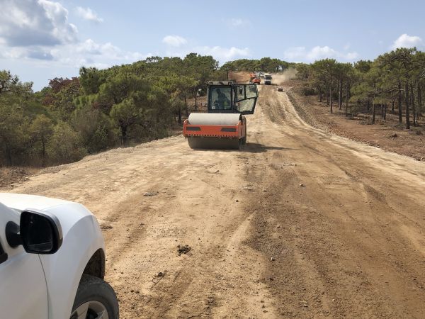Cost of Driveway Grading in Lodi