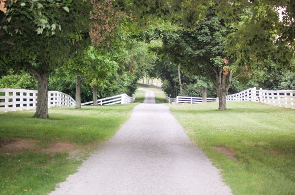 Gravel Driveway Construction in Lodi