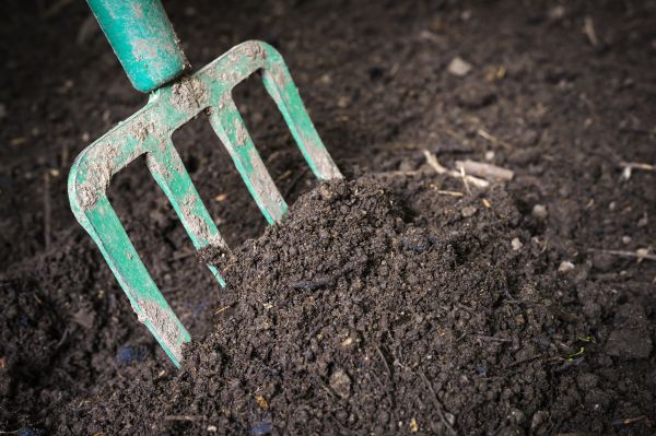 Topsoil Spreading in Lodi