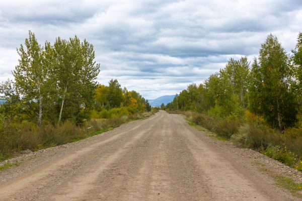 Dirt Road Repair in Lodi