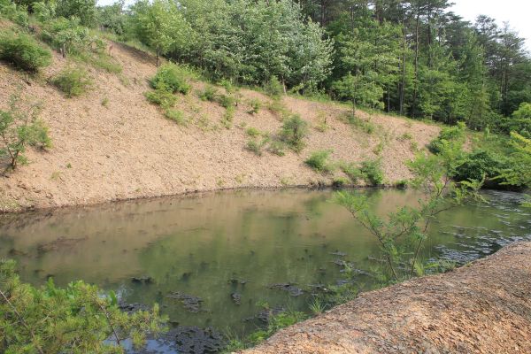 Pond Erosion Repair in Lodi
