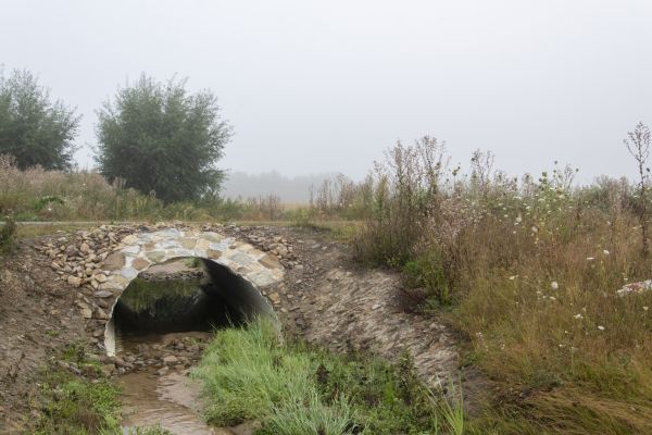 Culvert Excavation in Lodi