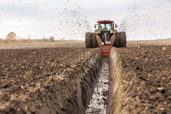 Drainage Digging in Lodi