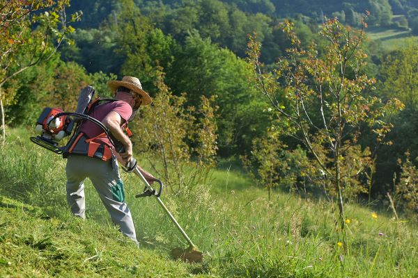 Cost of Slope Trimming in Lodi